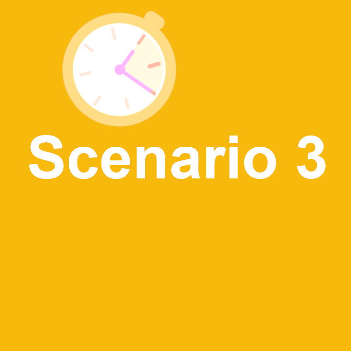 Scenario 3