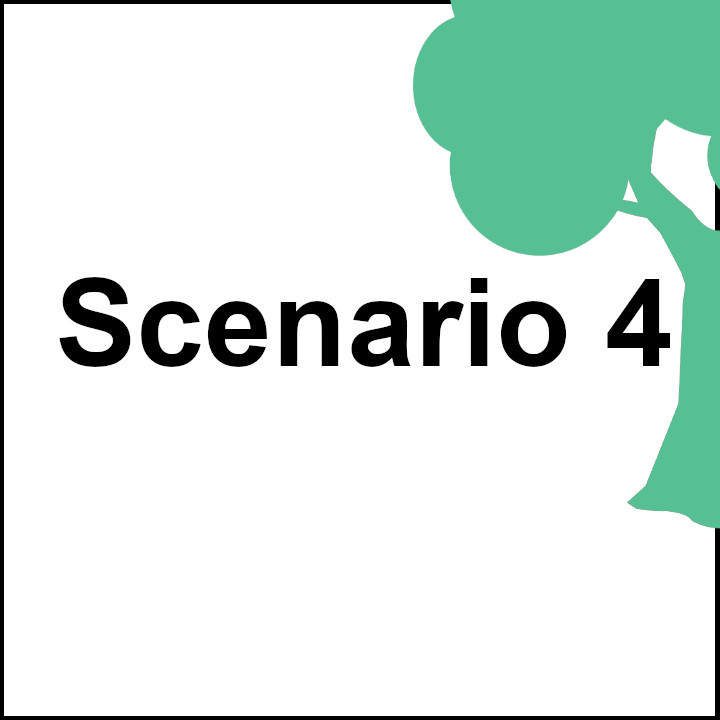 Scenario 4